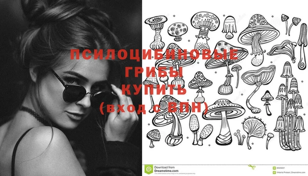 трава Кинешма