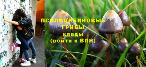 трава Кинешма