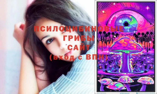 a pvp Корсаков
