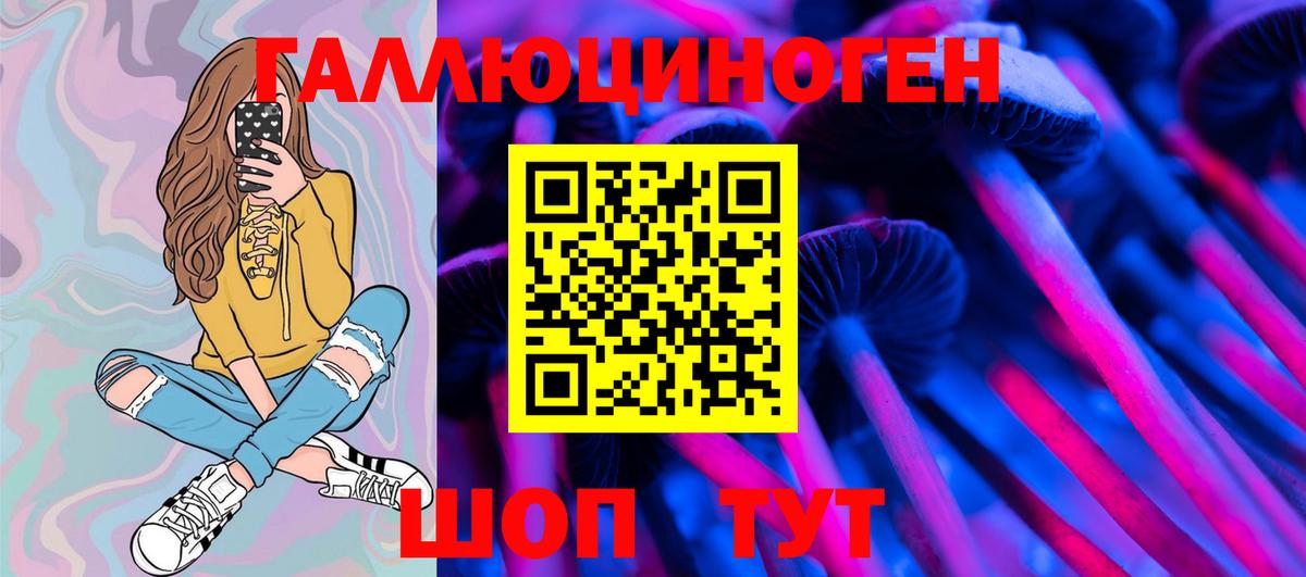 Псилоцибиновые грибы мицелий Кунгур